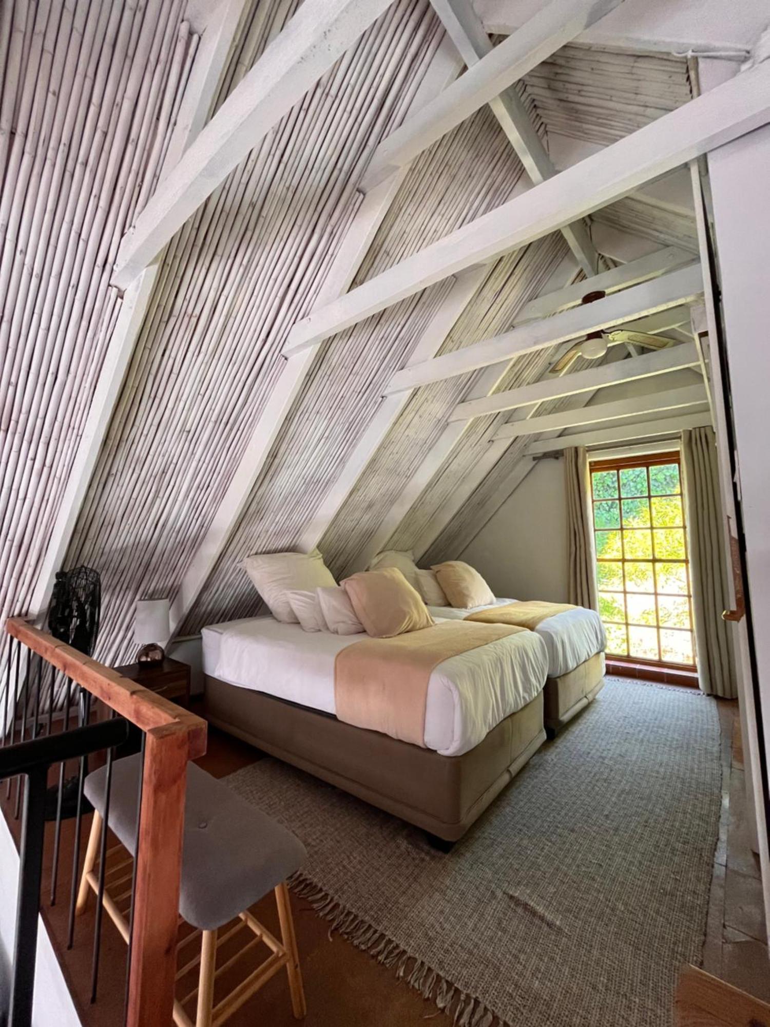 Cozy Camps Bay House With Mountain And Sea View Βίλα Κέιπ Τάουν Εξωτερικό φωτογραφία